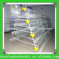 Reasonable price small chicken cage design for sale